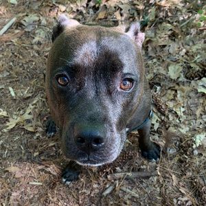 Meet your Posher, Lindsey